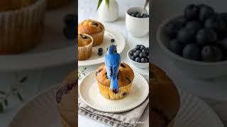 Blueberry muffin or bluebird? 🫐 #youtubeshorts #animalfusion #foodies #funny