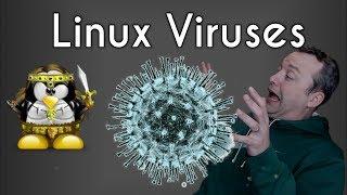 Installing Anti-Virus on Linux | Linux gets infected!