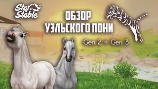 Обзор всех поколений Уэльский пони┊Gen 2, Gen 3┊Overview of all generations of Welsh Pony