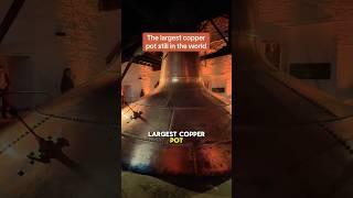 Largest Copper Pot still in world  #bar #whisky #luxurywhisky #rare