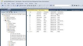 How To Insert Data into the Table with Management Studio GU | Microsoft SQL Server 2017 for Everyone