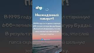 Неожиданный поворот! Интересный факт №360