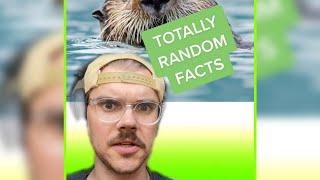 Totally Random Facts (Again) #shorts