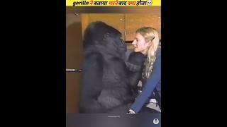 Gorilla told what will happen after death #viral
