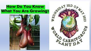How to Know What You Are Growing