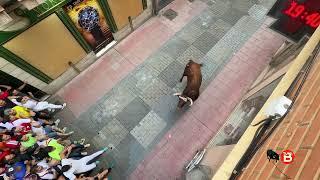 "Espléndido", Torito del Alba 2025 de Benavente
