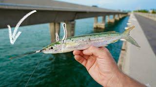 Taming the BRIDGE MONSTER (Florida Keys Bridge Fishing)