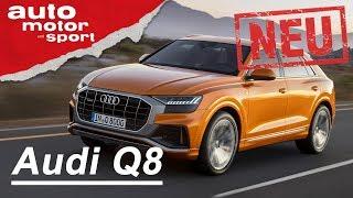 Der neue Audi Q8 (2018): Erste Sitzprobe - Neuvorstellung/Review | auto motor & sport