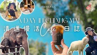 【清邁2024】清邁漫活日誌｜大象友善Cafe｜綿羊農場Cafe｜必去網紅咖啡店｜清邁必食椰子蛋糕｜清邁旅遊｜泰國｜自由行｜Chiang Mai Cafe｜Thailand Travel Vlog