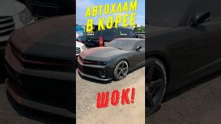 УТИЛИЗАЦИЯ АВТОМОБИЛЕЙ В КОРЕЕ!ШОК!АВТОЗАПЧАСТИ ИЗ КОРЕИ! #утилизация #авто #корея #shorts