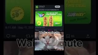 Wait a minute #cat #memes #funny #waitaminute