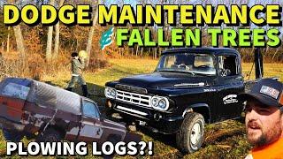 Reviving 1959 Dodge, Tree Trimming, Plow Truck Maintenance, Flame Throwing