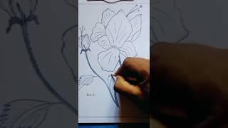 Easy to draw a beautiful flower!! #youtube #viral #shortvideo #drawing #youtubeshort
