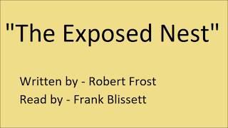 "The Exposed Nest" by Robert Frost