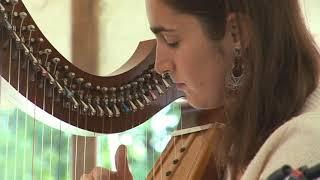 Port Atholl - Rory Dall O'Cathain - played by Dominique Dodge - 2012 Vermont Carolan Festival