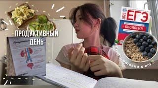 продуктивный день(｡• ω •｡)// правильное питание *мой рацион* подготовка к егэ