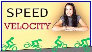 Speed And Velocity Best Expalanation | Najam Academy