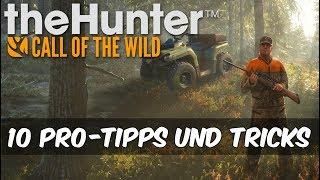 theHunter Call of the Wild - 10 Pro-Tipps und Tricks