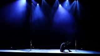 Evgeny Greshilov - Pole Art 2013 Men's Champion