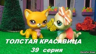 LPS: ТОЛСТАЯ КРАСАВИЦА 39 серия