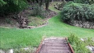 Illawarra Rhododendron Gardens, Wollongong NSW Australia | Bushwalk the 'Gong