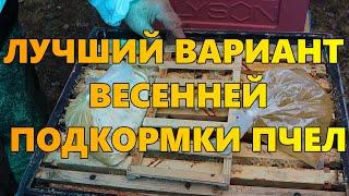 Лучший вариант весенней подкормки пчел.