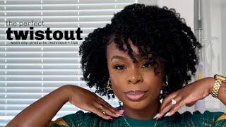 the PERFECT twistout | type 4 hair, wash day, hydration products, technique + tips | shanicealisha .