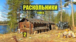 ПОБЕГ СЛУЧАЙ в ТАЙГЕ СТАРОВЕРЫ РАСКОЛЬНИКИ УБЕЖИЩЕ ДОМ в ЛЕСУ ИСТОРИИ из ЖИЗНИ РАССКАЗЫ СЕРИАЛ 2