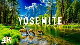 Summer in Yosemite National Park 4K – Where Nature Shows Its Most Beautiful Beauty