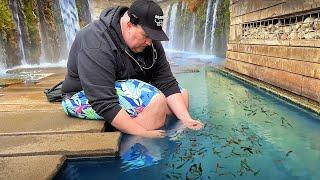 Catching Wild Aquarium Fish at a German Hot Spring