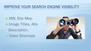 Search Engine Ranking