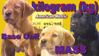 kilogram (kg) American Metric MASS