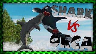 GIANT SHARK VS ORCA | Jaws Unleashed is One of the best PS2 games.️