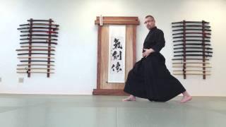 First Concept - Iaido from the Bottom Up - The Back Leg