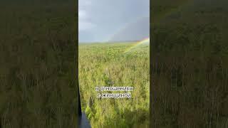 Счастливые отношения это… Как быть счастливым в отношениях