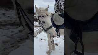 Тестируем безленчиковое седло.