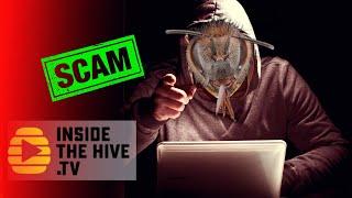 Inside The Hive TV SCAM!