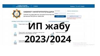 ИП жабу 2024/910 форма отчетын тапсыру  #ип жабу#ип отчет