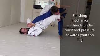 Rafa Mendes open guard armbar