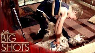 Meet Charlie The Incredible Sheep Shearer   @BestLittleBigShots