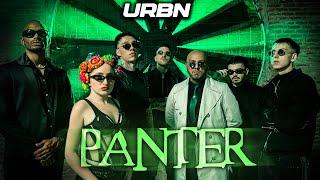 papi, Kimera, ice, Bhetto, Vess, Dianz - "PANTER" (Official Music Video)