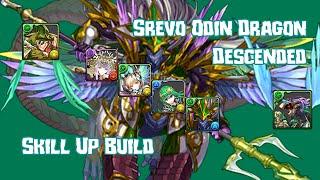 [PAD] Srevo Odin Dragon Descended (Assist invalid) - Skill Up Build