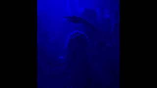 [FREE] PARTYNEXTDOOR X 6LACK Type Beat 2021 - "comettt" (Prod. by yumeboii)
