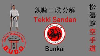 Tekki Sandan Bunkai | 平安 三段 分解