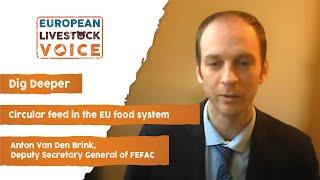 Anton Van Den Brink - Circular feed in the EU food system