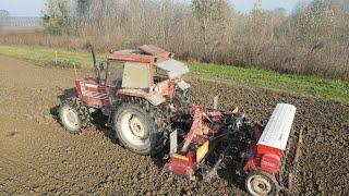 SEMINA FRUMENTO 2024 | FIATAGRI 100/90 & FERABOLI + MORENI | OPEN PIPE