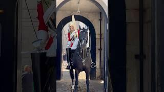 Look at this stubborn tourist during the Changing of the Guard ceremony at Horse Guards in London