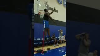 Zion insane vert