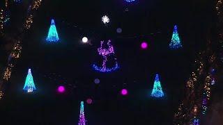 Holiday lights at Bronx Zoo and New York Botanical Garden [AERIAL VIEW]
