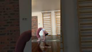 EASY Yoga Poses for Complete Beginners  Yoga With Helen